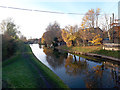 Trent and Mersey Canal west of Malkin