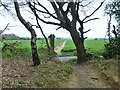 Footpath from Hutton to Billericay