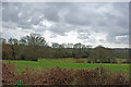 View SE from Cob Lane