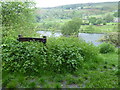 View from the Pennine Bridleway near Birch Vale