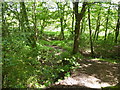 The Pennine Bridleway interim route near Chisworth