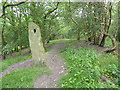 The Pennine Bridleway interim route near Far Woodseats