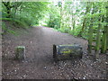 The Pennine Bridleway interim route near Hollingworth