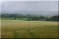 Arable land, Vale of Radnor