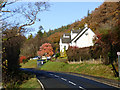 Shore Road, Kilmun