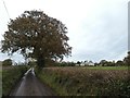 Warkidons Way and Cannonwalls Farm