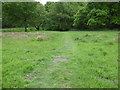 The Pennine Bridleway interim route near Widowscroft Farm