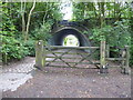 The Pennine Bridleway near Uppermill