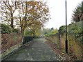 NZ2364 : Lane alongside Summerhill Park, Newcastle by Robert Graham