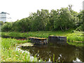 Stone piers in the canal near Firhill Basin