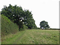 Farmland north of Pinnerwood House (3)