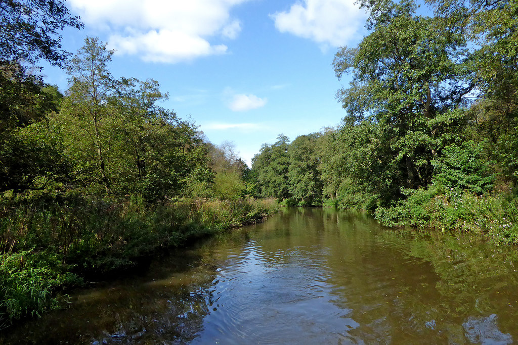 River Churnet by Consall Wood in... © Roger Kidd :: Geograph Britain ...