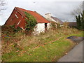 Ruined homestead on the Shanbally Road