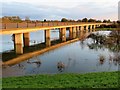 TL4381 : Bridge over the washes at Mepal - The Ouse Washes by Richard Humphrey