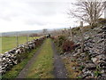 Llwybr Bron Berllan / Bron Berllan Path