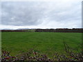 NY0604 : Grassland off the A595 near Gosforth by JThomas