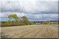 SP7745 : Farmland north-east of Yardley Gobion by Stephen McKay