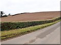 Ploughed drumlin slope next to Drumanaghan Road