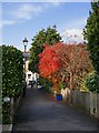 The Model Cottages in November