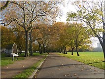 TQ3684 : Autumn colours in Victoria Park by Marathon