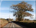 The B3137 near Eastway