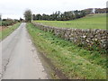 A section of the Seaforde Demesne wall on Tannaghmore Road