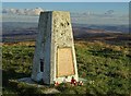 SK0460 : Triangulation pillar at Merryton Low by Neil Theasby