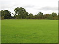 Open green space, Little Oxhey Lane / Romilly Drive