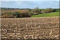 Farmland, Cuby