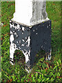 Coal tax boundary post no.49, Oxhey Lane - detail (2)