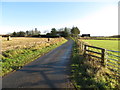 Minor road at Walkerhill Croft