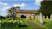 SJ8470 : Siddington - All Saints Church by Colin Park