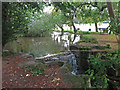 Pond by Carpenders Park Cemetery