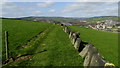 Vaccary wall N of Fallingworth Hall, Norland Town