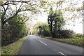 Langham Lane near Holly Tree Farm