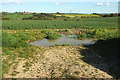 Cereal crop, Woolstone