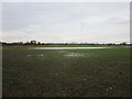 Waterlogged field