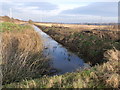 SJ4977 : Larger drain, Lordship Marsh by Christine Johnstone