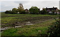 Houses beyond a muddy field, Whitminster, Gloucestershire