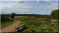 Summit seat & Trig Point at Armshead, Wetley Moor