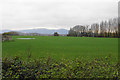 Open field near Kerswell Green