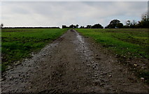 SO7708 : Wide muddy track through a Whitminster field by Jaggery