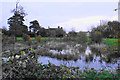 SO8446 : Pond at Clifton by Bill Boaden
