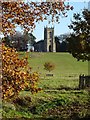 SO8845 : Croome D'Abitot church by Philip Halling
