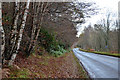 NO0143 : Minor road near Dunkeld by Jim Barton