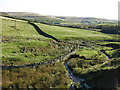 Rough pastures around Red Burn below Bank Foot