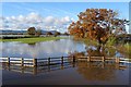 SO8541 : Flooding on meadows near Upton upon Severn by Philip Halling