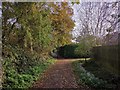 Footpath going past St John Fisher Catholic Primary School