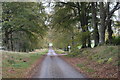 Driveway, Dunecht estate