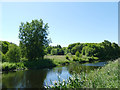 Open space by the Forth and Clyde Canal 